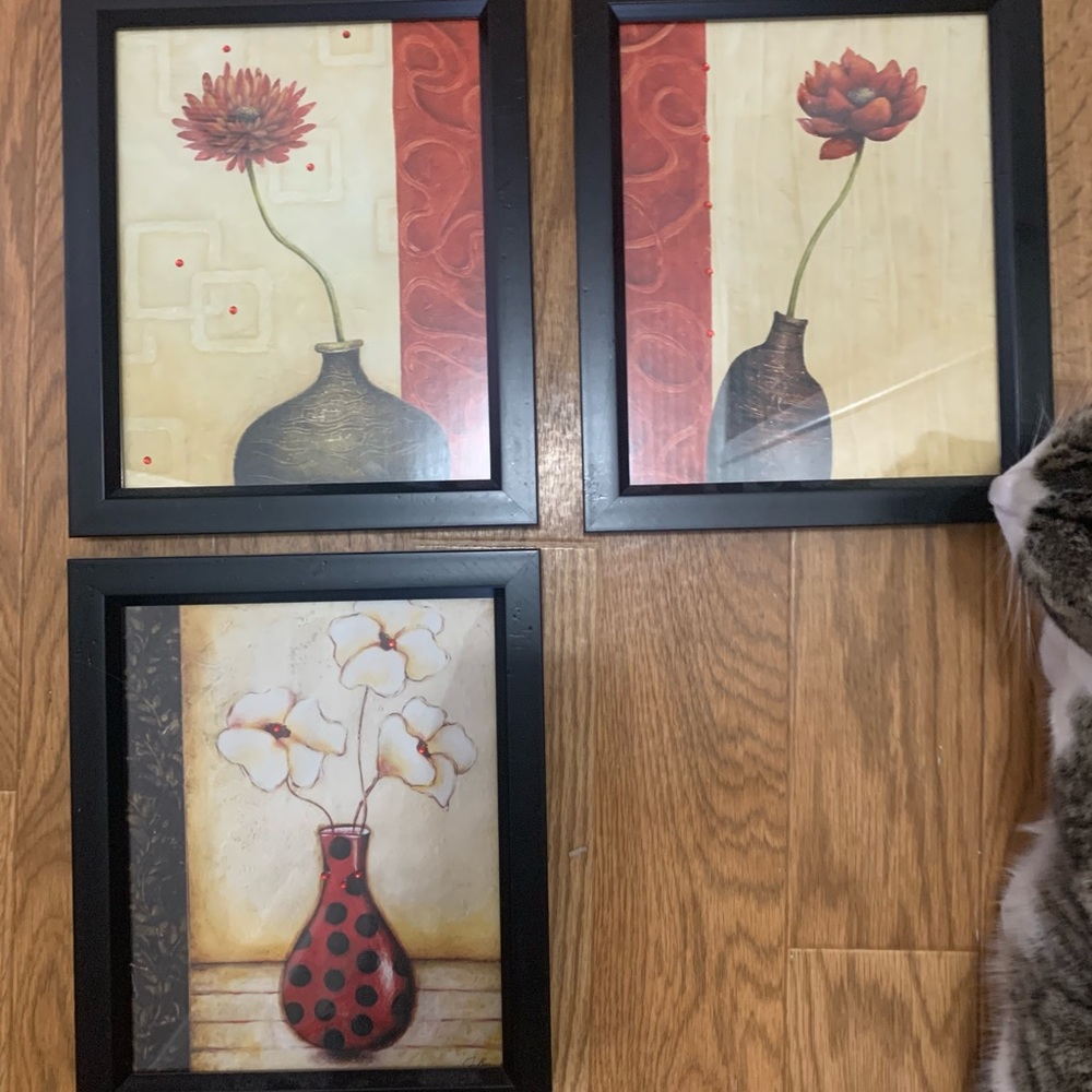 Black framed floral print bundle (3)